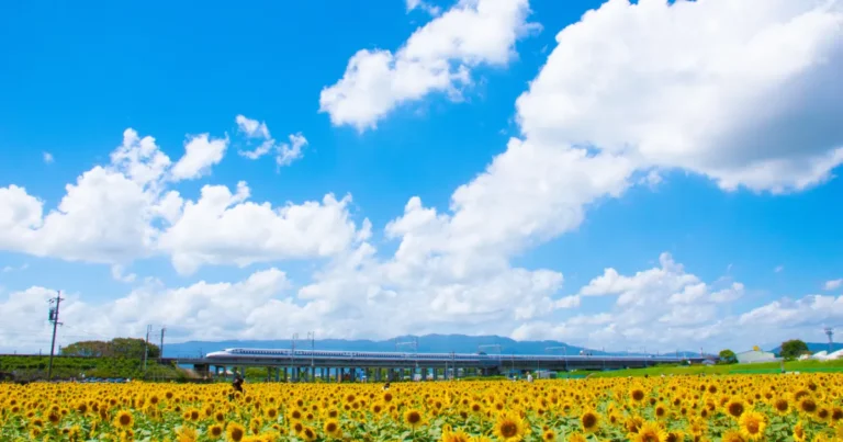 中3受験生の夏休みの勉強時間はどれくらい？理想のスケジュールと計画の立て方