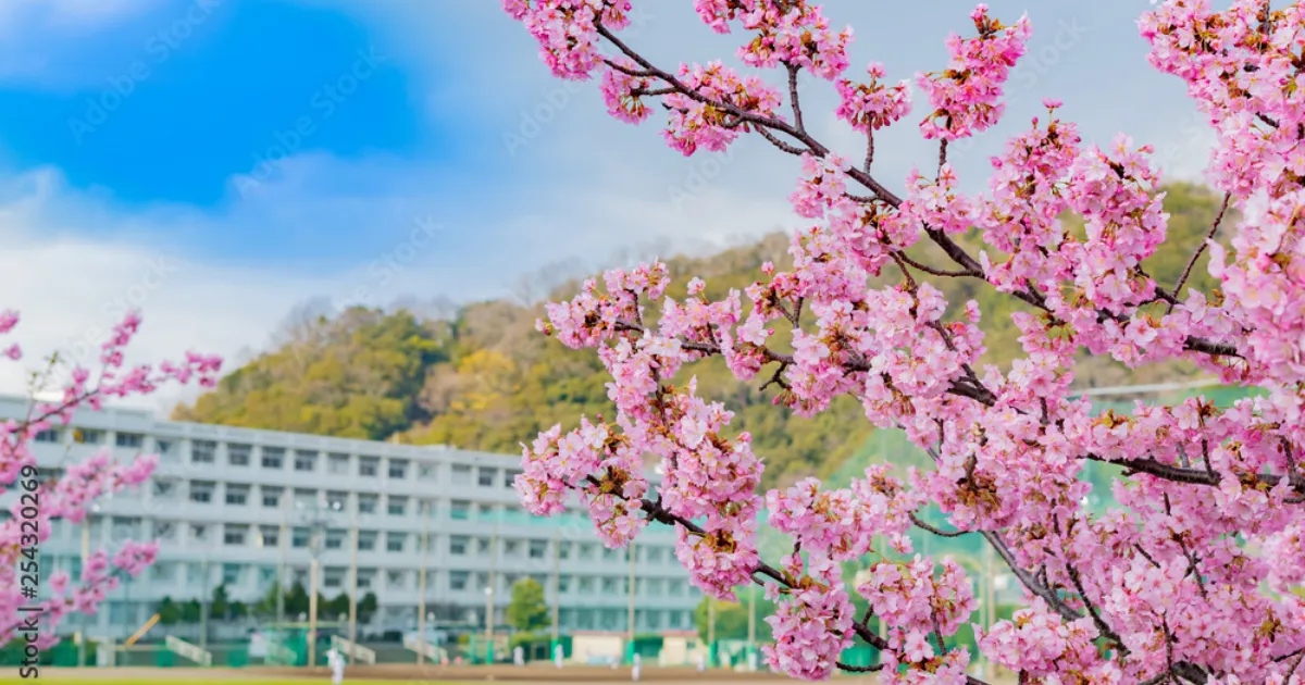 和光国際高校の偏差値・合格ラインと進学実績を徹底解説