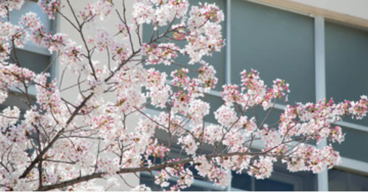 偏差値45はどのくらい？意味・水準・高校の選び方をわかりやすく解説