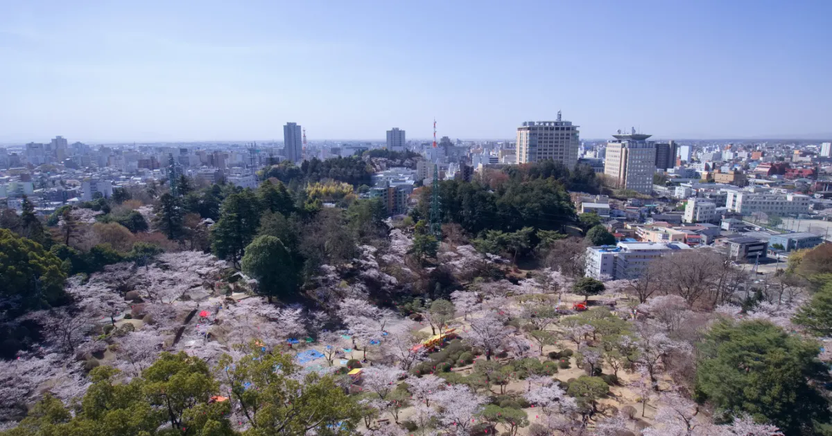 宇都宮で中学生におすすめの英会話教室7選｜目的別・料金別に徹底比較