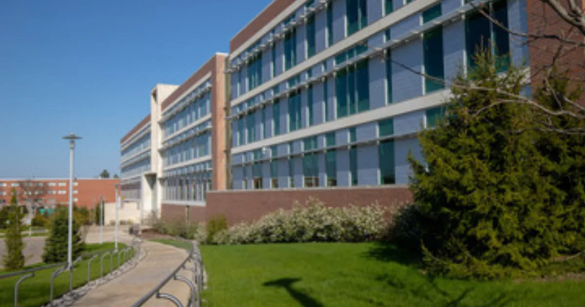 Z会の大学受験は本当に使える？評判・効果・Z会だけで合格できるか徹底解説